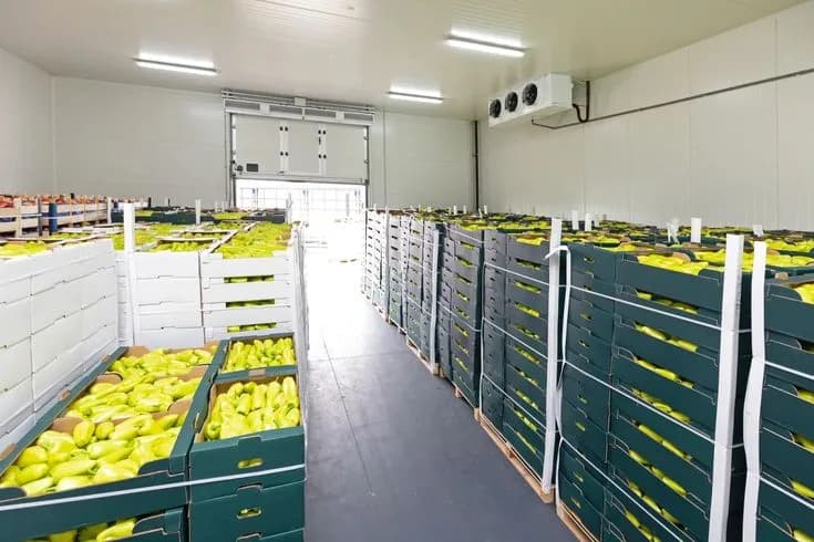 Impact of Limited Cold Chain Infrastructure on Small Agribusinesses