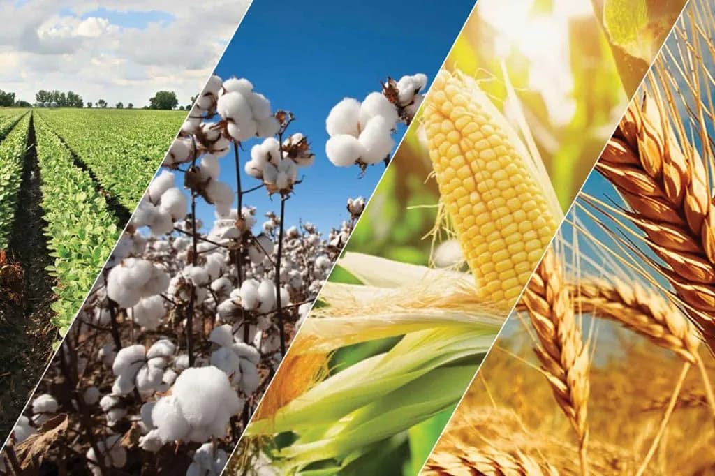 Commodity tracking in the marketing
