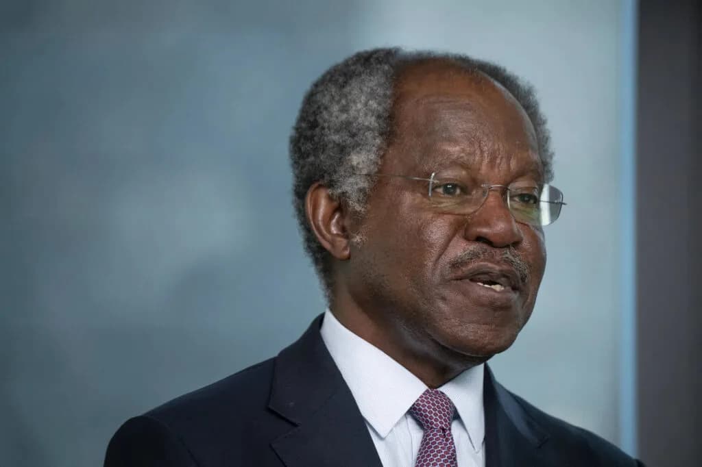 Adebayo Ogunlesi Joins OpenAI’s Board of Directors