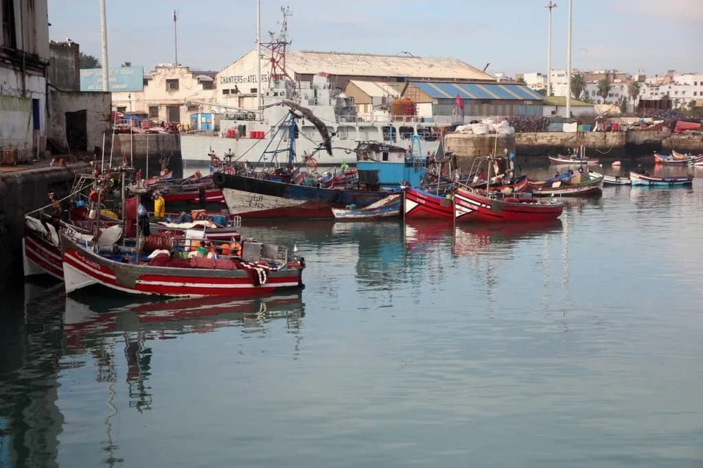 Casablanca Goes Maritime Heavy