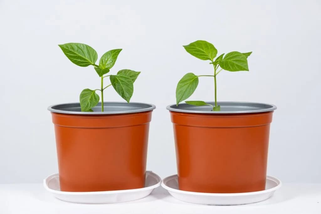 The practical implications of the ‘two-pot system’ – what you need to know