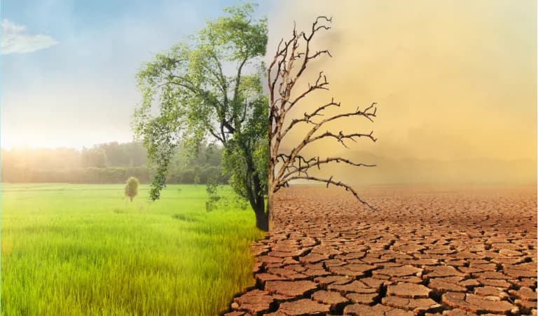 Africa on the bridge of climate change