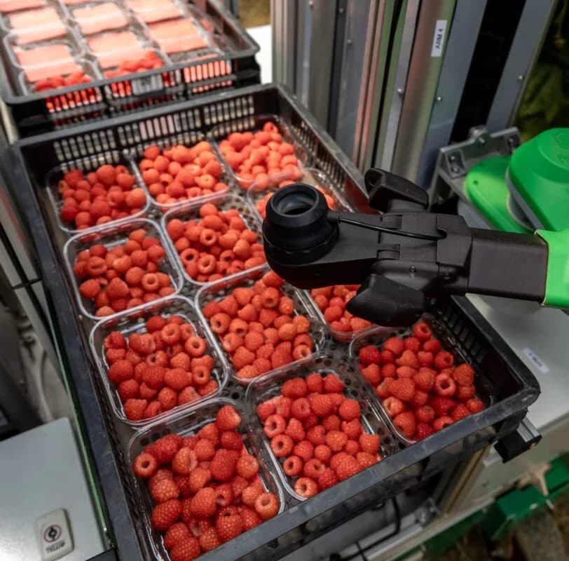 Fieldwork Robotics launches latest harvesting robot