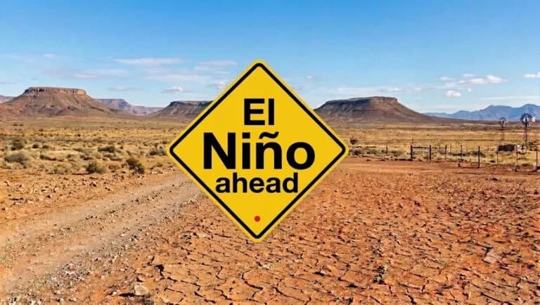 Can AI help South African farmers survive a Super El Niño?