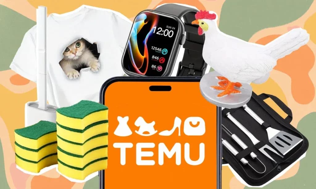 A year after its debut in South Africa, Temu has solidified its position as a favourite among online shoppers.
