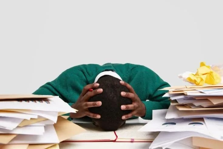 Free vs Paid Accounting Software: What Should Startups Choose?