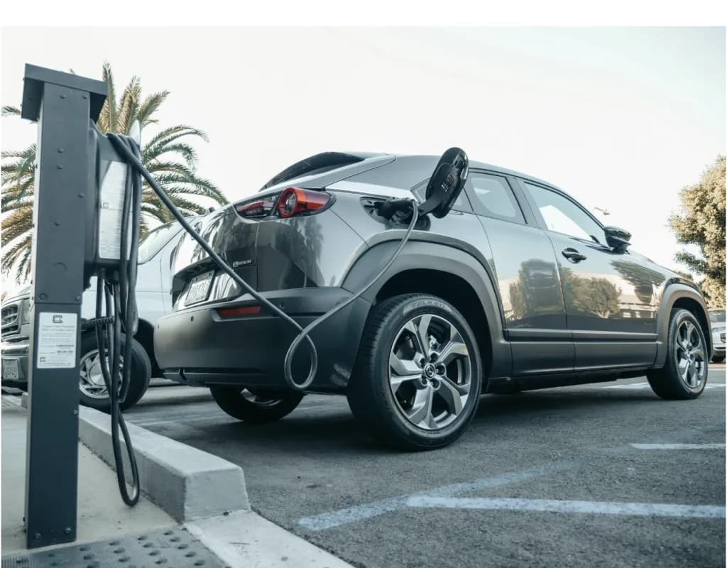 Balancing Progress and Challenges in South Africa’s Green and Electric Auto Market