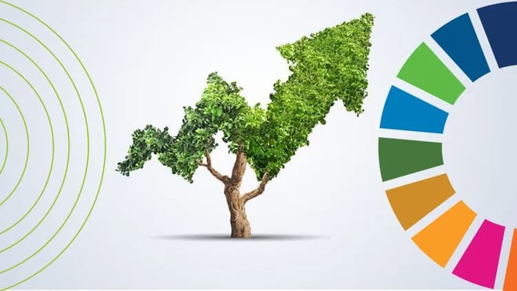 Growing-impact-investing-capacity-in-Africa-could-unlock-the-continents-potential