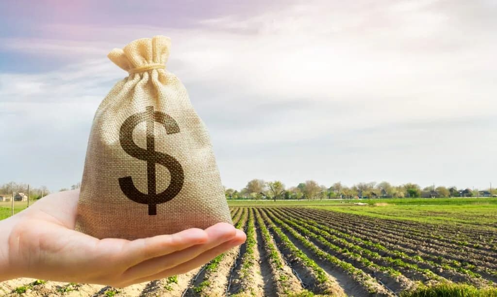 The-importance-of-managing-your-finances-like-you-manage-your-farm