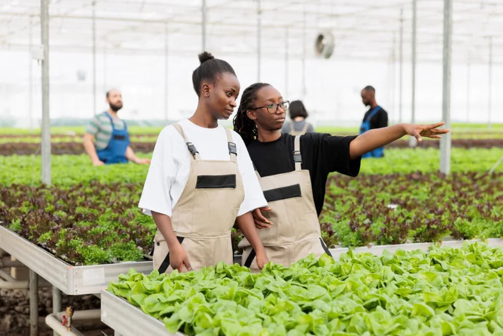 (Sponsored) Unisa College of Agriculture and Environmental Sciences