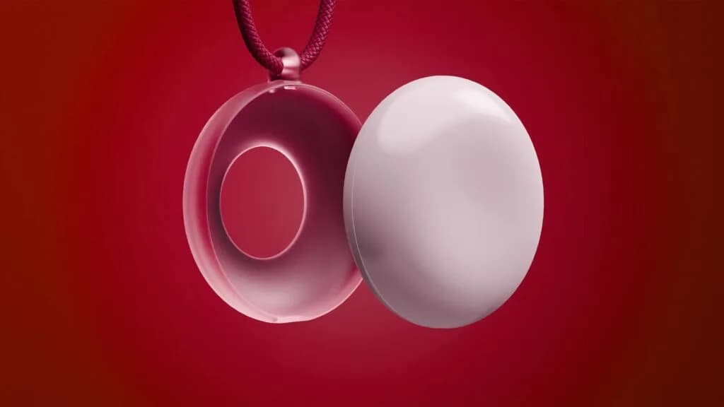 "Avi Schiffmann's AI 'Friend' Necklace