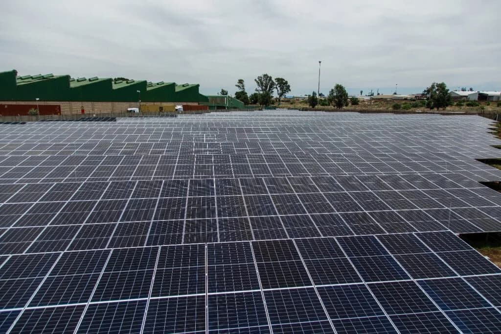 Henkel South Africa Unveils 100% Sustainable Alrode Plant with Solar Farm Installation