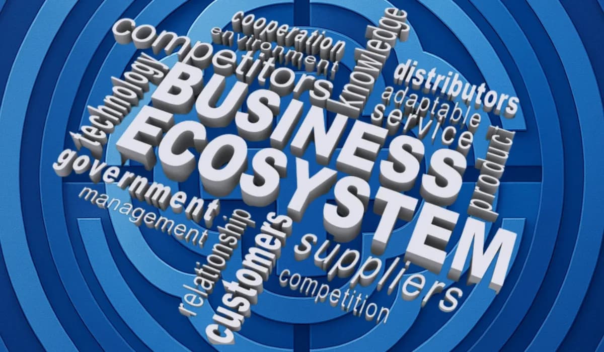 Ecosystem Builders The Unsung Heroes in the African Startup Landscape