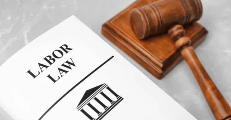 Labour Alert – “Protected Employee” Structure Amendment in South Africa