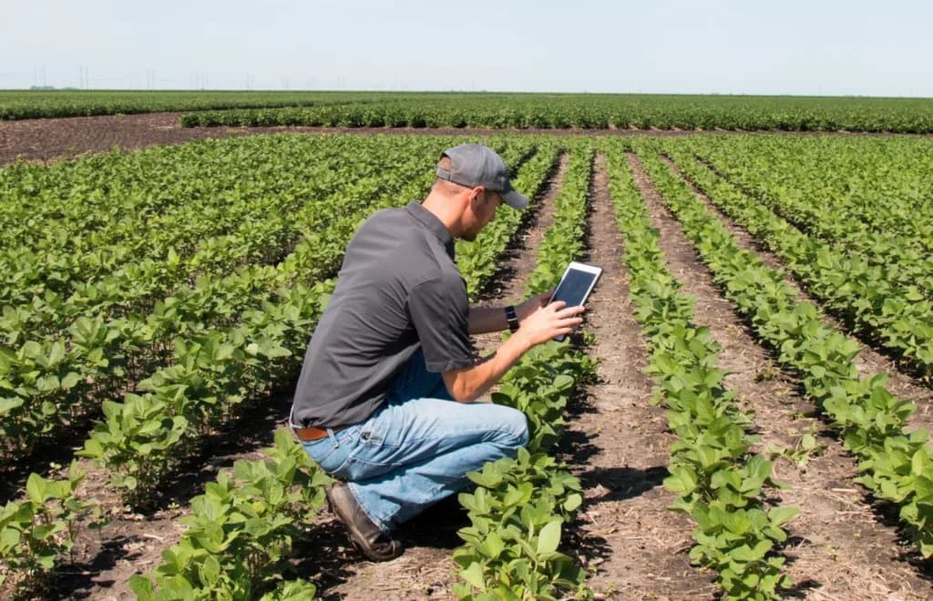 Farm software is becoming agritech's fastest-growing segment