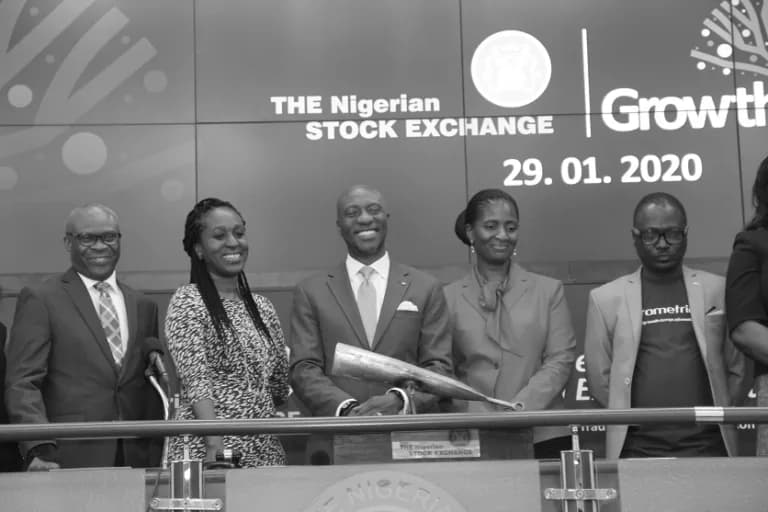 Nigerian Stocks Fintech Success