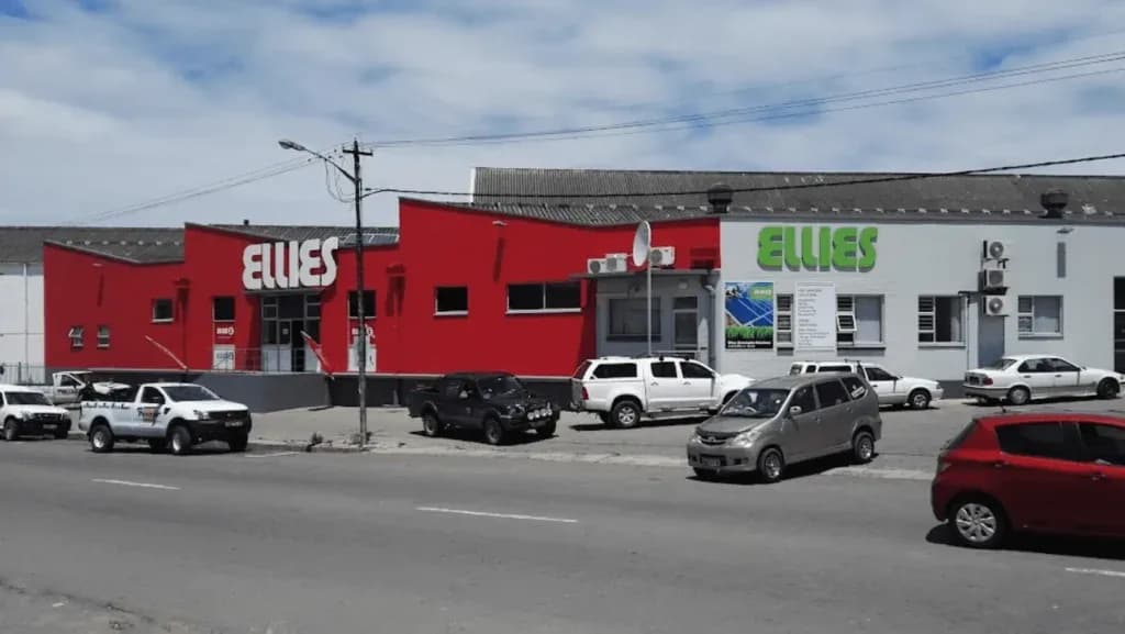 Ellies-Electronics-Receives-Buyout-Offers-Amidst-Financial-Turmoil