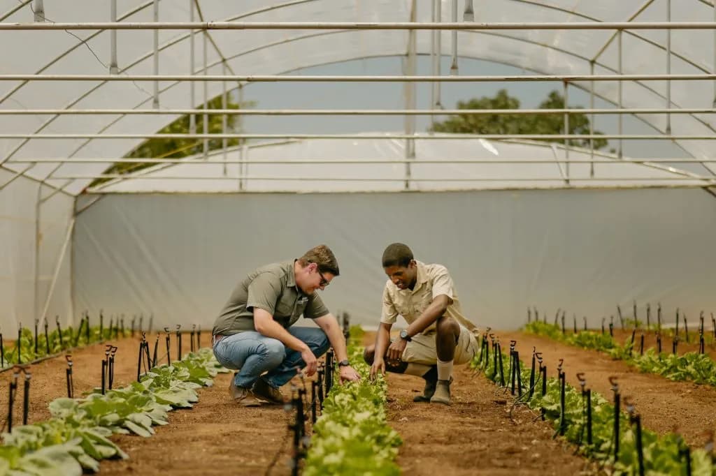 Reaping what we sow: Unlocking opportunities for youth in agribusiness