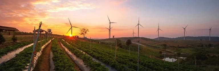 Standard-Bank-provides-facility-to-combat-climate-change-and-improve-the-lives-of-rural-communities