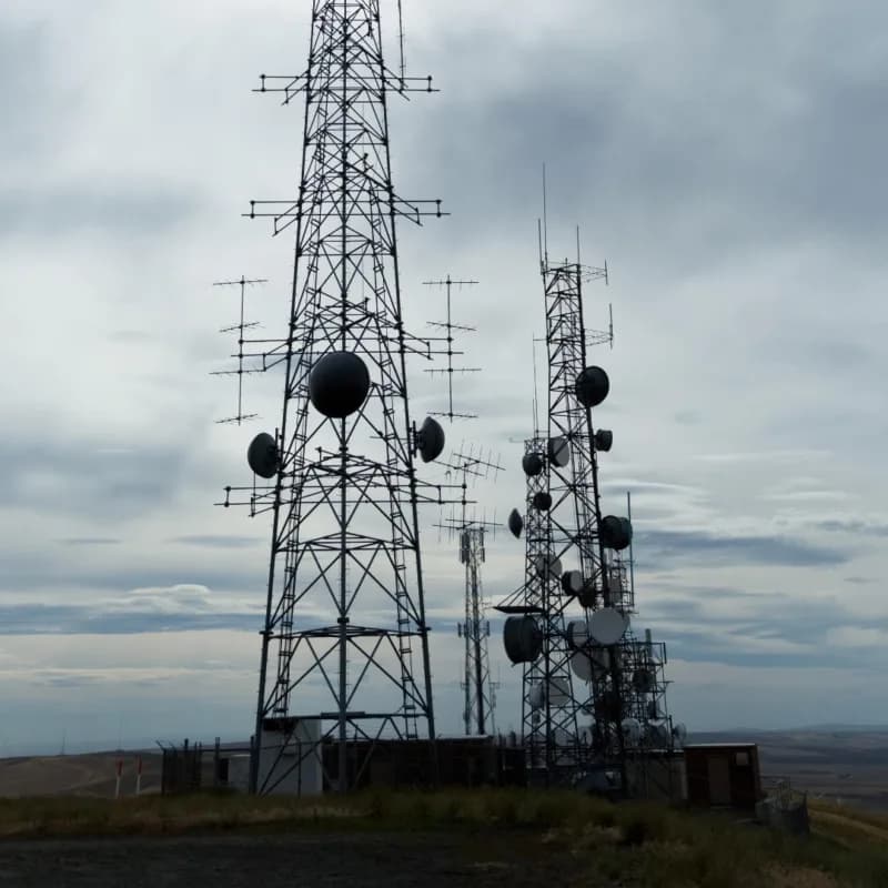 Spot Money Launches New MVNO Venture