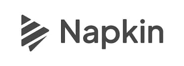 Napkins: Visual AI for business storytelling