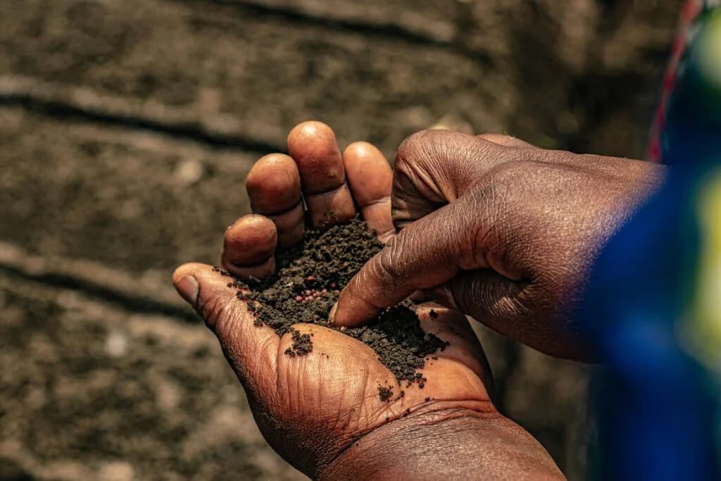 (Advertorial) 2025 Applications are still open