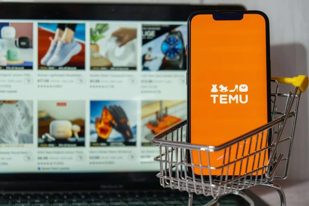 5 THINGS TEMU CAN TEACH E-COMMERCE BUSINESSES