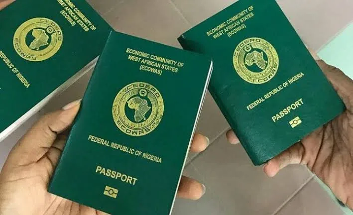Ministry of Interior, Immigration Service launches digital portal for passport booking, renewal and visa applications