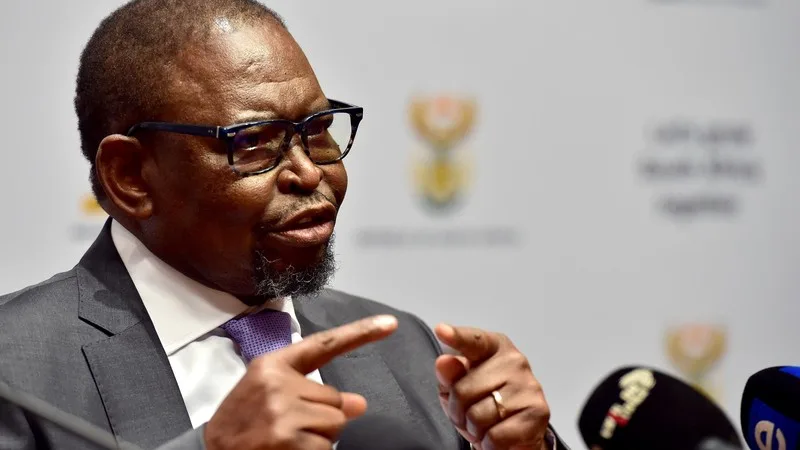 FINANCE MINISTER ENOCH GODONGWANA IS URGING TAX TRANSPARENCY Elmond Jiyane/ GCIS